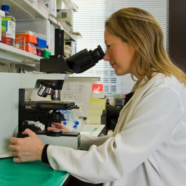 Research & Development pharma company template research